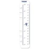 DEBDEN DAYPLANNER PR2008 PERSONAL EDITION REFILL TODAY RULERS SIZE PACK 2