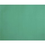 QUILL BOARD 210GSM 510 X 635MM GREEN